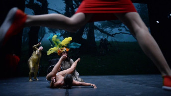 Dancando com a diferenca